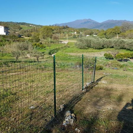 Villetta Nel Verde Ascea Exteriér fotografie