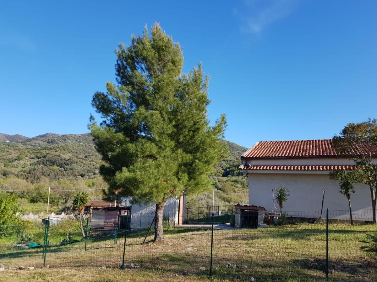 Villetta Nel Verde Ascea Exteriér fotografie
