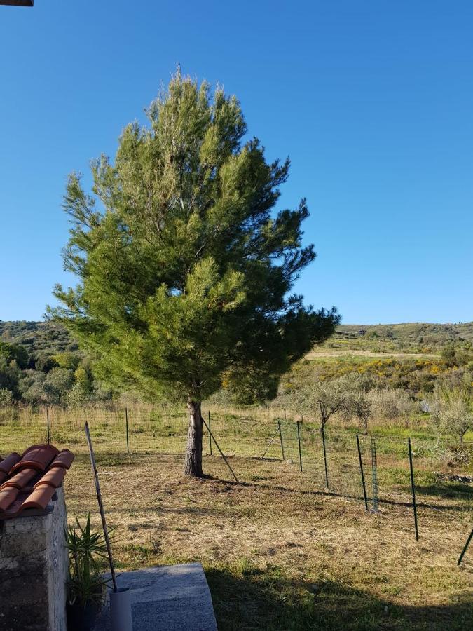 Villetta Nel Verde Ascea Exteriér fotografie