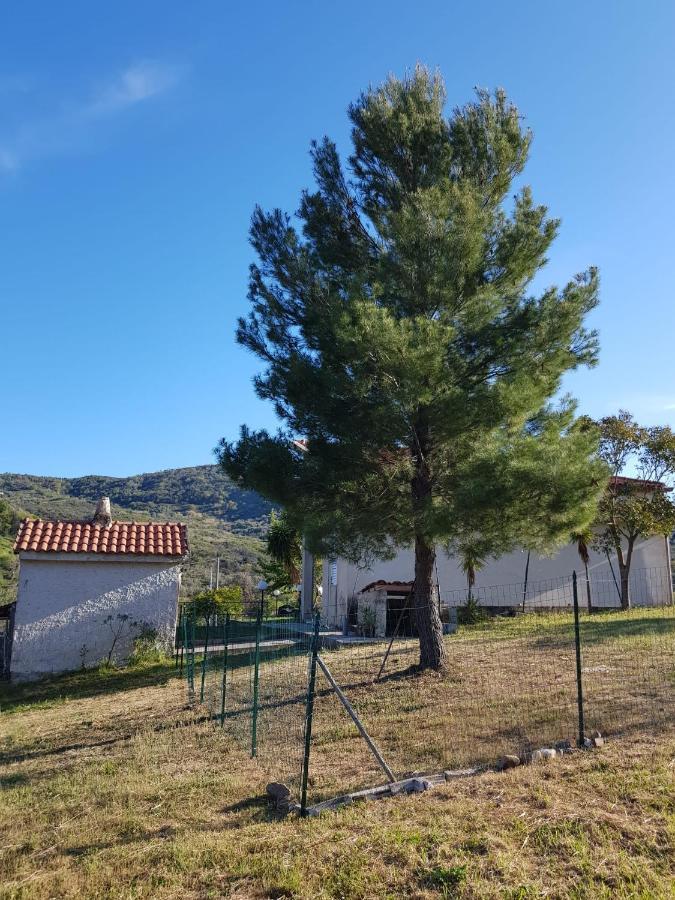 Villetta Nel Verde Ascea Exteriér fotografie
