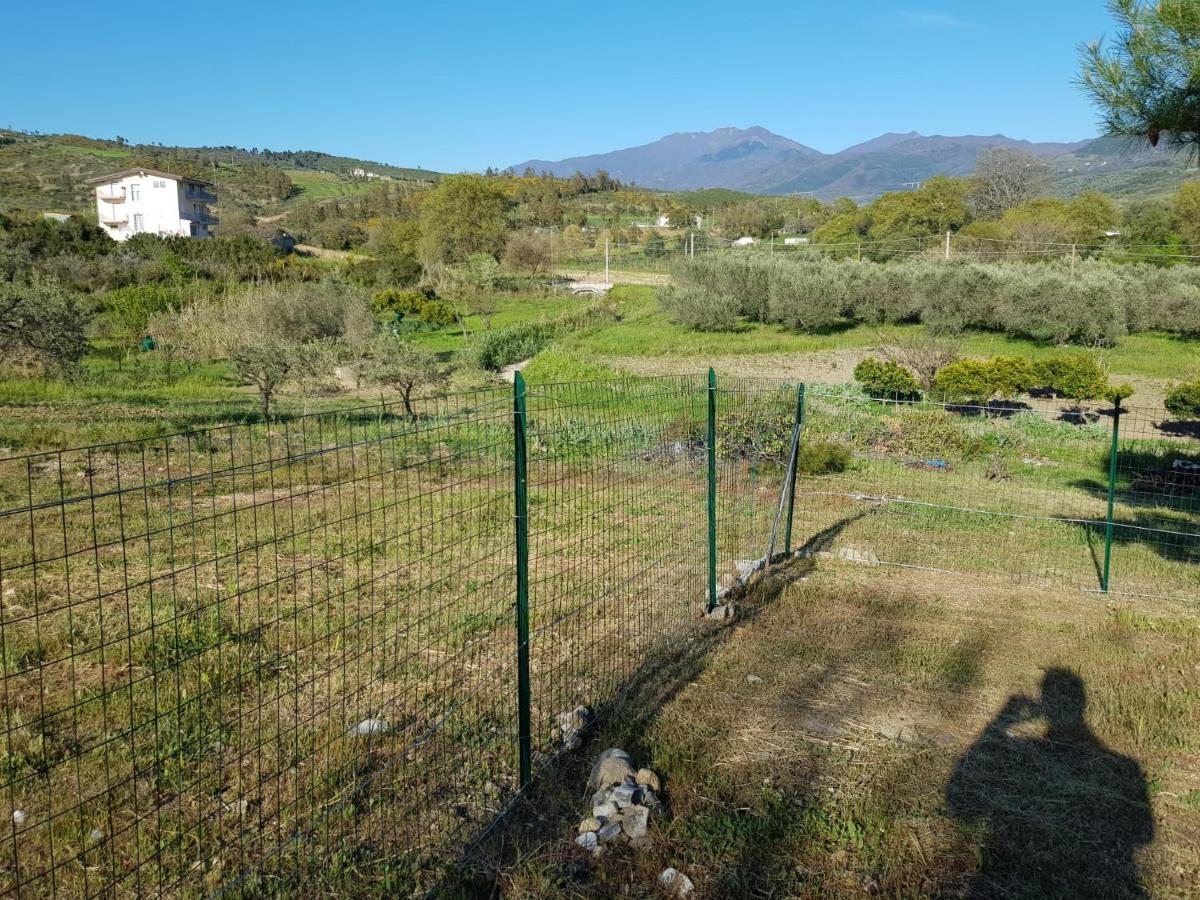 Villetta Nel Verde Ascea Exteriér fotografie