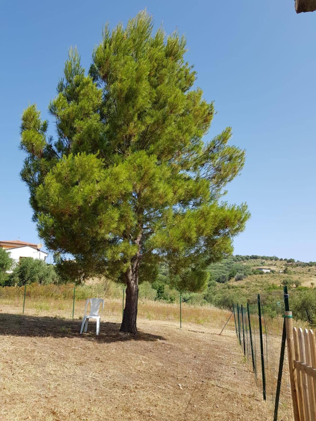 Villetta Nel Verde Ascea Exteriér fotografie
